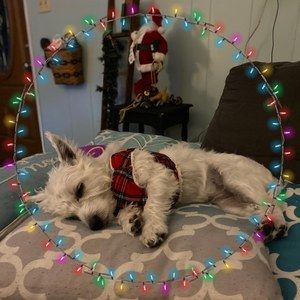 Meet your Posher, Jeanne